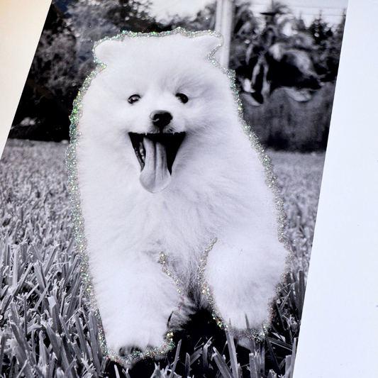 Light Custom Glitter Photo